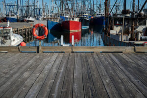 Dock